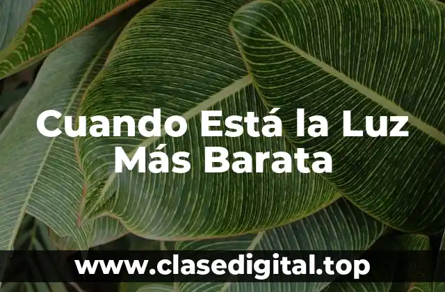 Cuando Está la Luz Más Barata