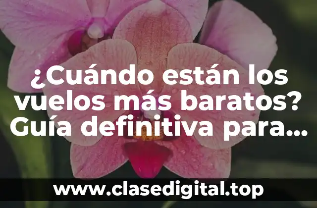 ¿Cuándo están los vuelos más baratos? Guía definitiva para encontrar ofertas aéreas