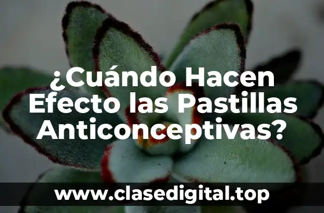 Cómo Funcionan las Pastillas Anticonceptivas