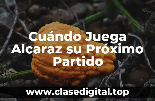 La Temporada de Alcaraz en 2022: Logros y Desafíos