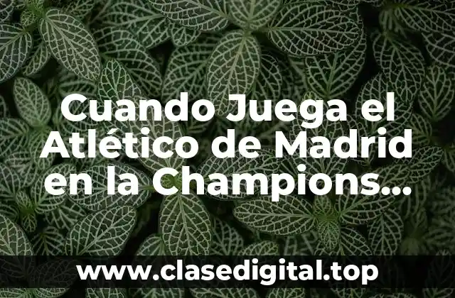 La Historia del Atlético de Madrid en la Champions League