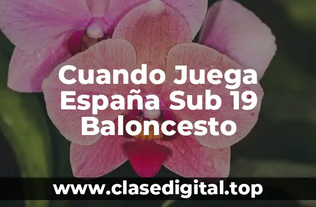 Historia de la Selección Española de Baloncesto Sub 19