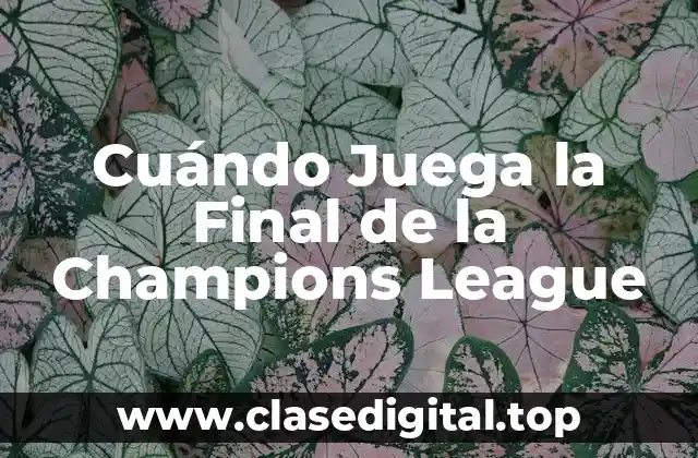 Historia de la Final de la Champions League