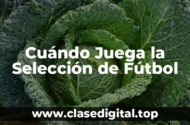 Cuándo Juega la Selección de Fútbol