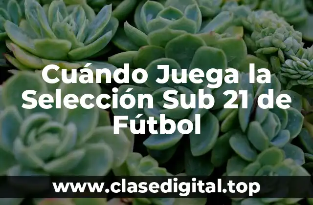 Historia de la Selección Sub 21 de Fútbol
