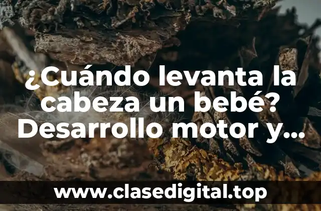 ¿Cuándo levanta la cabeza un bebé? Desarrollo motor y hitos importantes en los primeros meses de vida.