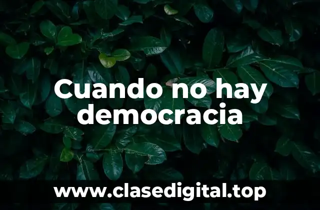 Cuando no hay democracia