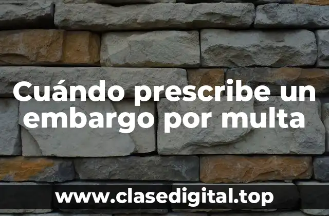 ¿Qué es un embargo por multa?