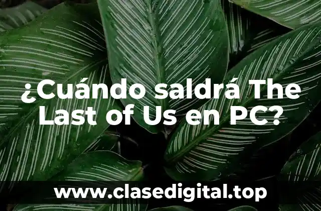 La Demanda de The Last of Us en PC