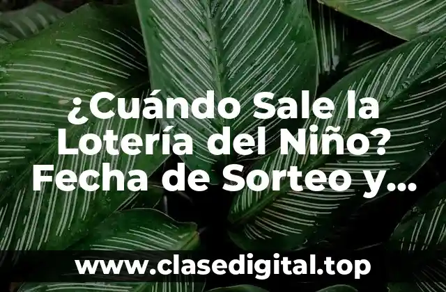 ¿Cuándo Sale la Lotería del Niño? Fecha de Sorteo y Premios