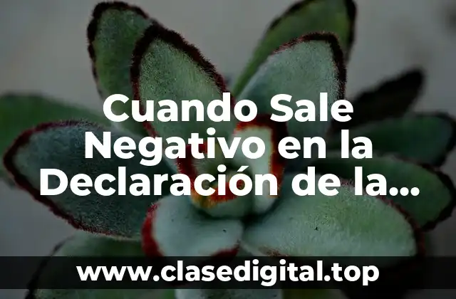 Cuando Sale Negativo en la Declaración de la Renta