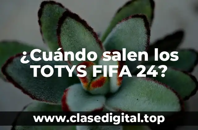 ¿Cuándo salen los TOTYS FIFA 24?