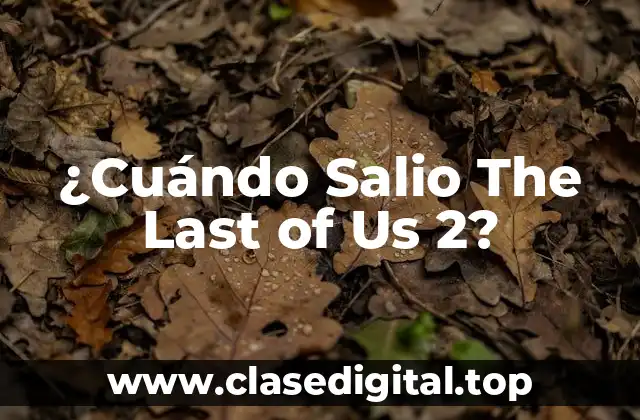 ¿Cuándo Salio The Last of Us 2?