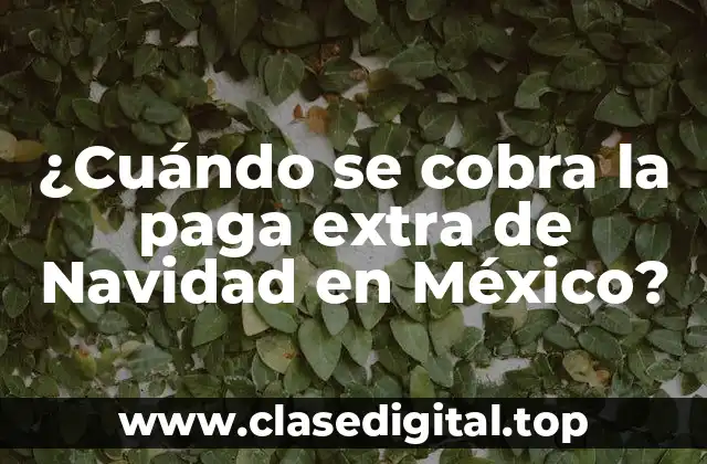 ¿Cuándo se cobra la paga extra de Navidad en México?