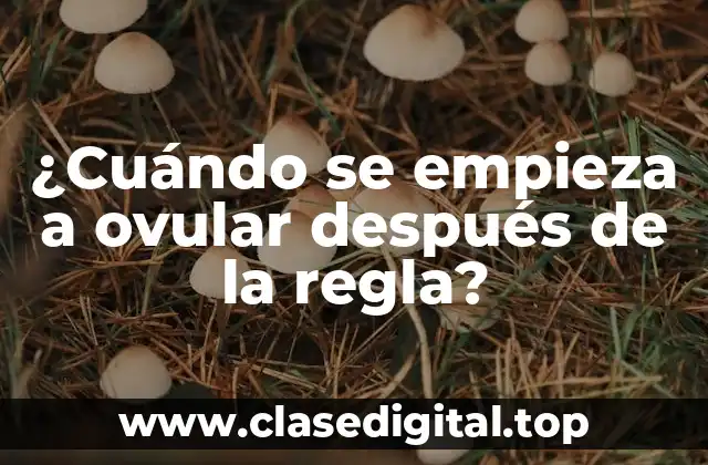 ¿Cuándo se empieza a ovular después de la regla?