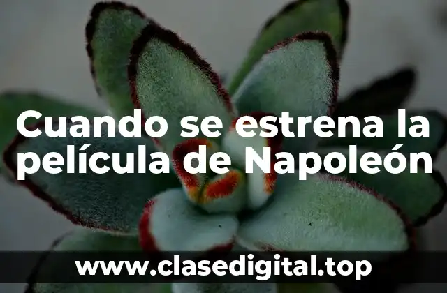 Cuando se estrena la película de Napoleón