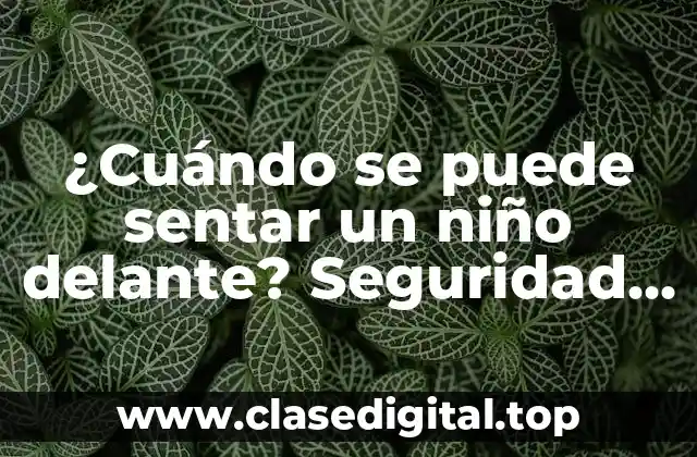 Leyes y regulaciones sobre la seguridad de los niños en el coche