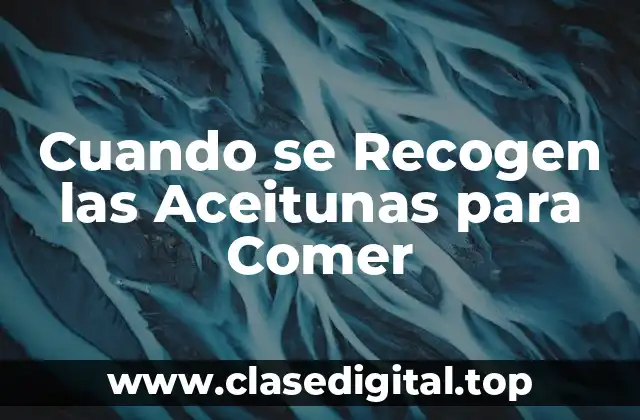 Cuando se Recogen las Aceitunas para Comer