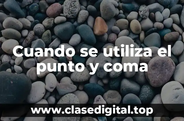 Cuando se utiliza el punto y coma