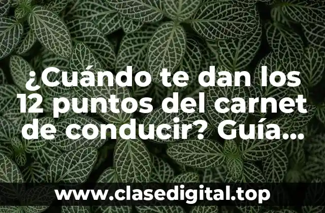 ¿Cuándo te dan los 12 puntos del carnet de conducir? Guía completa sobre el sistema de puntos en España