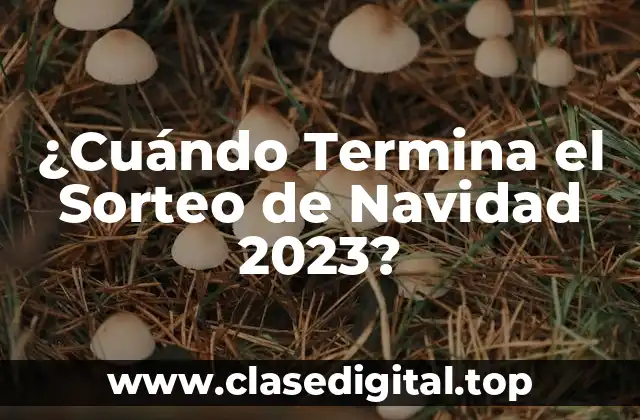 ¿Cuándo Termina el Sorteo de Navidad 2023?