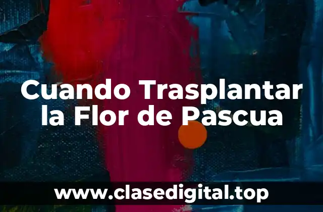 Cuando Trasplantar la Flor de Pascua