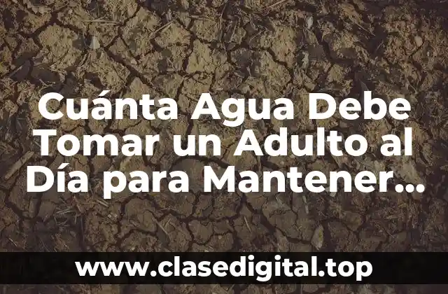 El Rol del Agua en el Cuerpo Humano