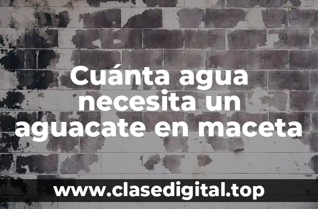Cuánta agua necesita un aguacate en maceta