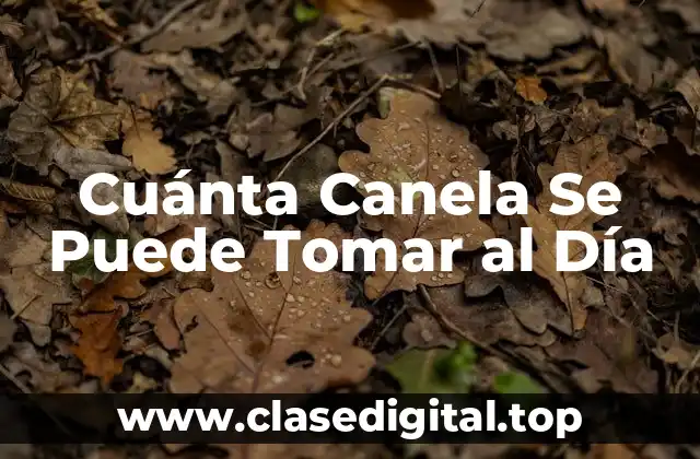 Cuánta Canela Se Puede Tomar al Día