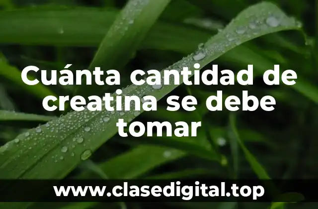 Cuánta cantidad de creatina se debe tomar