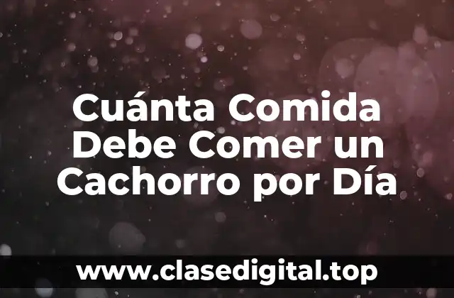 Cuánta Comida Debe Comer un Cachorro por Día