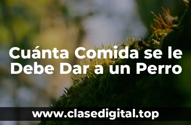 Cuánta Comida se le Debe Dar a un Perro