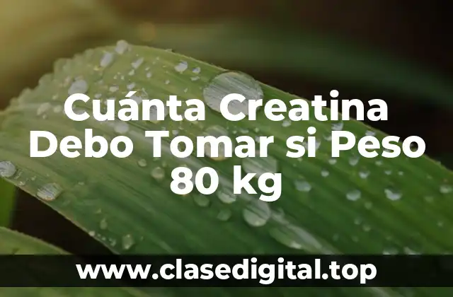 Cuánta Creatina Debo Tomar si Peso 80 kg
