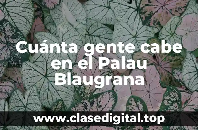 Cuánta gente cabe en el Palau Blaugrana