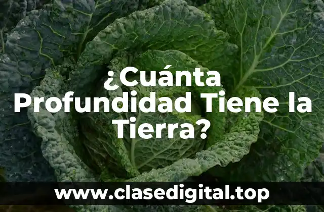 ¿Cuánta Profundidad Tiene la Tierra?