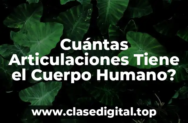Cuántas Articulaciones Tiene el Cuerpo Humano?