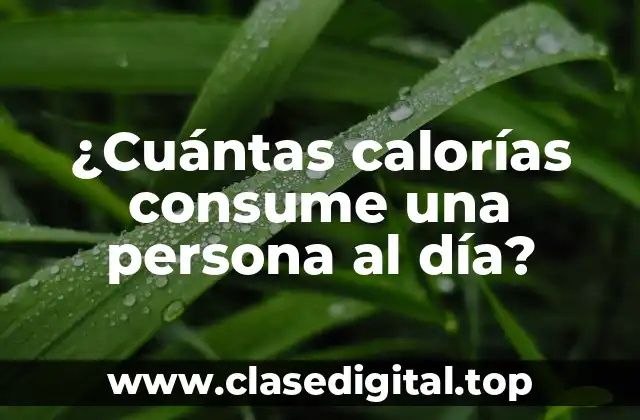 ¿Cuántas calorías consume una persona al día?