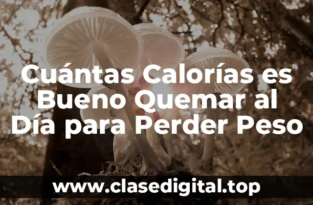 Cómo Funciona el Metabolismo y la Quema de Calorías