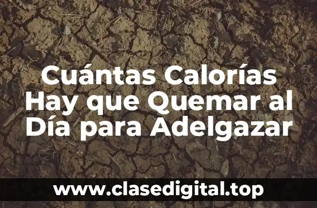 ¿Cuál es el Nivel de Actividad Física Ideal para Quemar Calorías?