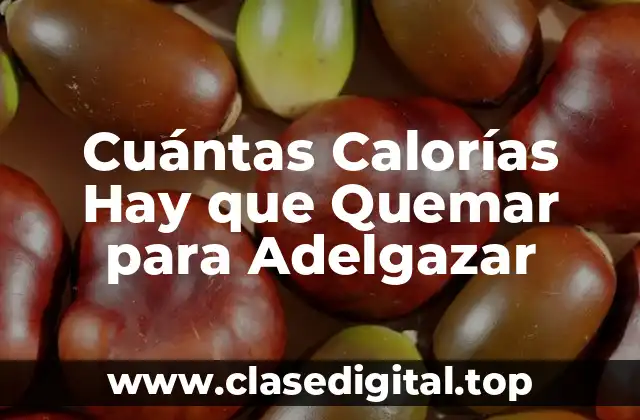 ¿Cuántas Calorías Quema el Cuerpo por Día?