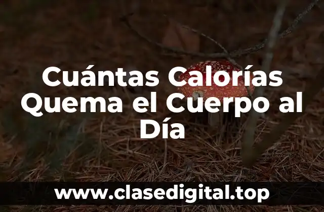 Cuántas Calorías Quema el Cuerpo al Día