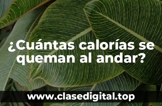 ¿Cuántas calorías se queman al andar?