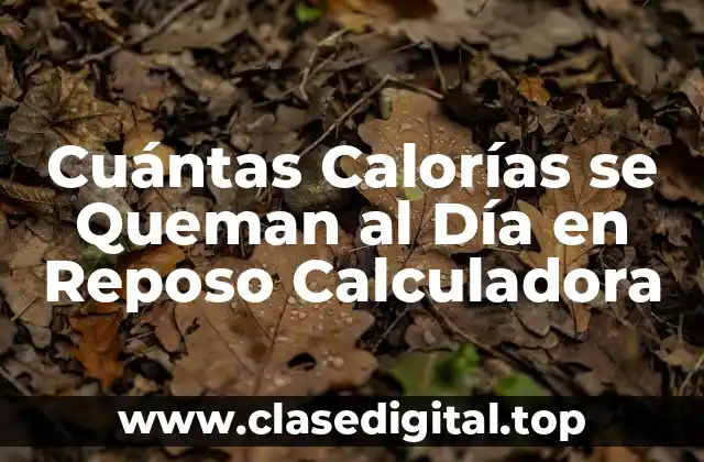 Cuántas Calorías se Queman al Día en Reposo Calculadora