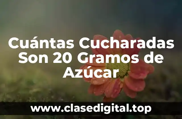 Cuántas Cucharadas Son 20 Gramos de Azúcar