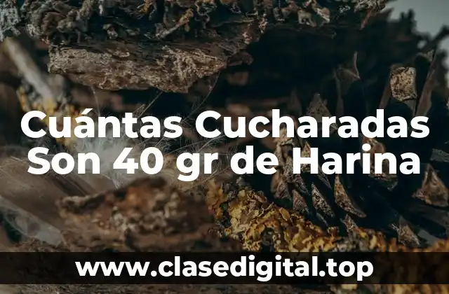 Cuántas Cucharadas Son 40 gr de Harina