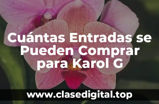 Cuántas Entradas se Pueden Comprar para Karol G
