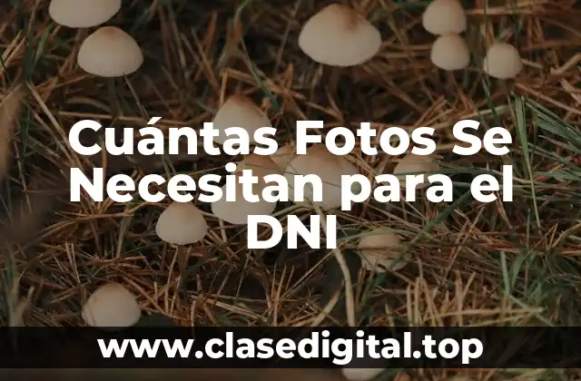 Cuántas Fotos Se Necesitan para el DNI