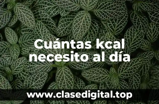 Cuántas kcal necesito al día