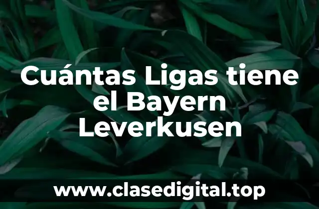 Cuántas Ligas tiene el Bayern Leverkusen
