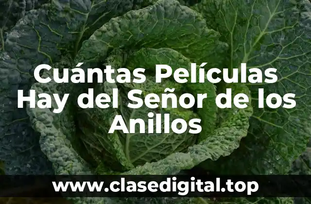 Cuántas Películas Hay del Señor de los Anillos